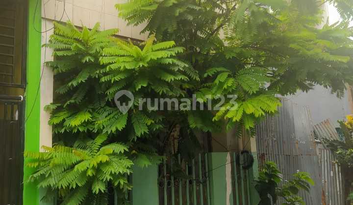 House Below NJOP Grogol West Jakarta