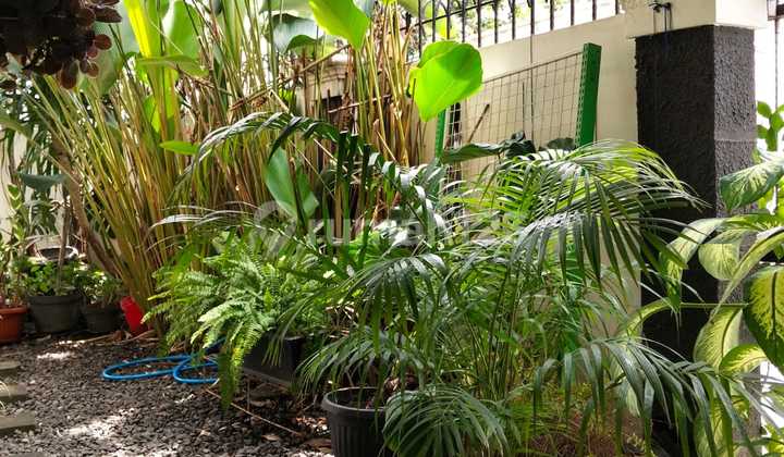Rumah Cantik Srengseng Jakarta Barat 2