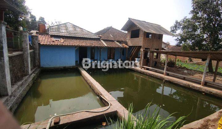 Tanah Pertanian Ciwidey subur dan luas. Ada kebun sayur dan kolam ikan 2