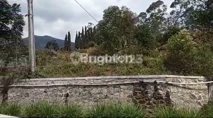 TANAH KAVLING GN. PUNTANG VIEW ALAM HARGA MURAH DAN ISTIMEWA 2