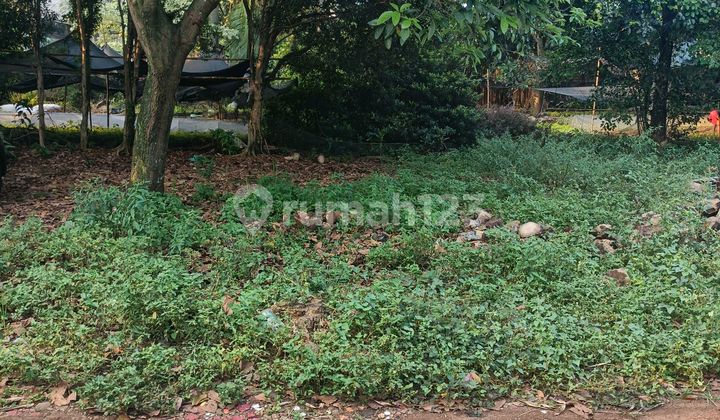 Tanah Strategis Tugu Pengasinan Dekat Rsud Sawangan Depok