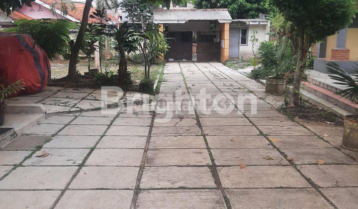 RUMAH PENGINAPAN YANG ASRI DI TANAH BARU DEPOK 2