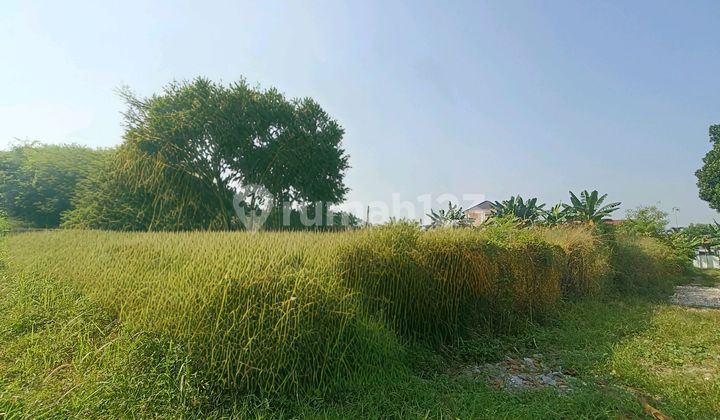 Tanah Datar Murah Dekat Rs Permata Depok