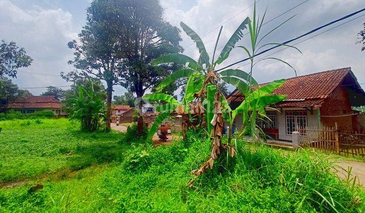 Tanah di Areal Ciparay Bebas Banjir, Bandung SHM 242 m² 1