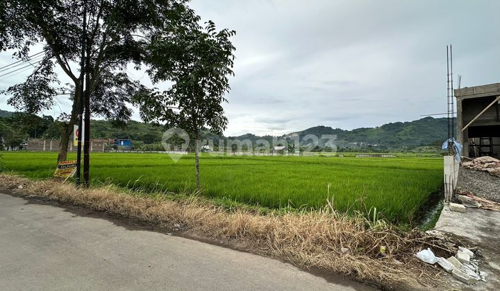 Dijual Tanah Sawah Aktif Batujajarmau Jual Cepatuntuk Investasi Dijual Tanah Sawah Aktif Batujajarmau Jual Cepatuntuk Investasi