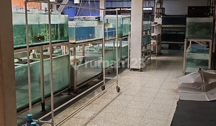 For Rent Dago Wing House Suitable for Cafe Office Gym Course