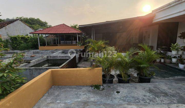 Rumah Mewah + Tanah Luas Harga Murah di Kedamaian Bandar Lampung 2