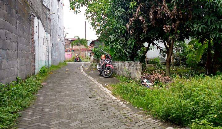 Tanah Strategis Dekat Gembira Loka Zoo,hanya 20 Meter Dari Jalan Raya Rejowinangun Yogyakarta  2