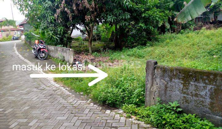 Tanah Strategis Dekat Gembira Loka Zoo,hanya 20 Meter Dari Jalan Raya Rejowinangun Yogyakarta  3