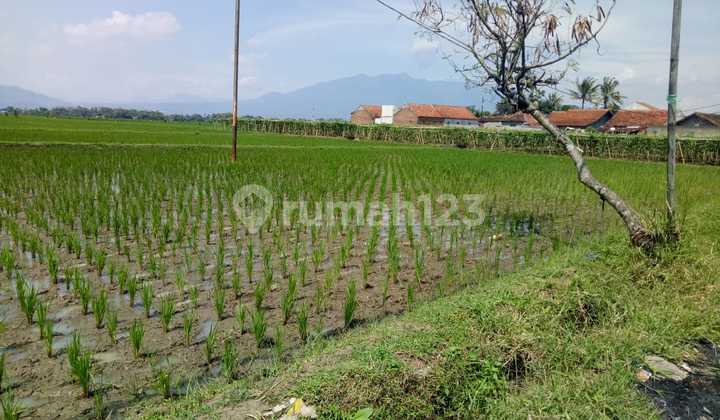 Land for Sale, Spacious Location, Strategic Area in Katapang, Bandung Regency 88