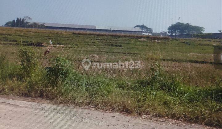 Dijual Kavling Di Komplek Industri  Batujajar Permai Cocok Utk Gudang  1