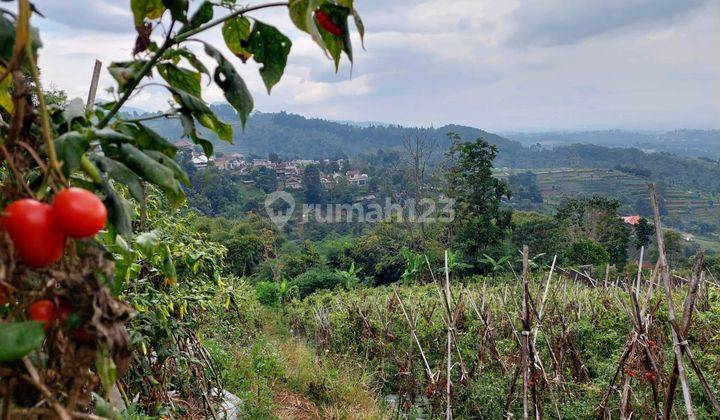 Tanah PUNCLUT Bandung SHM Dijual bisa sebagian 1