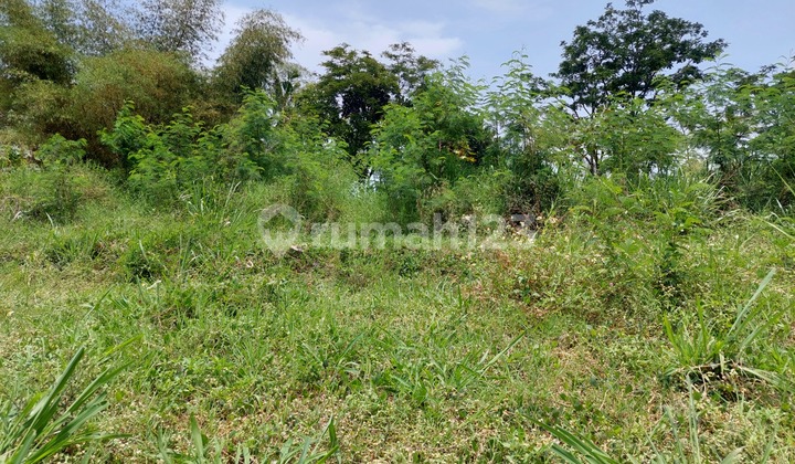 Dijual Kavling di Setraduta Grande Bentuk Kotak Hadap Timur Dijual Kavling di Setraduta Grande Bentuk Kotak Hadap Timur