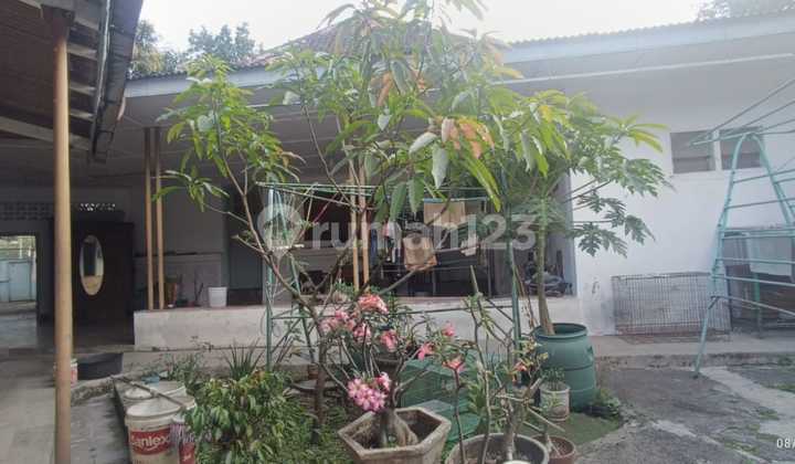 Rumah Lama Hitung Tanah Di Sayap Gatot Subroto Bandung Heritage Type Jual Cepattt 2
