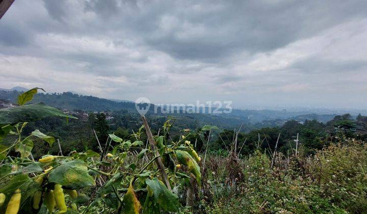 Tanah PUNCLUT Bandung SHM Dijual bisa sebagian 2