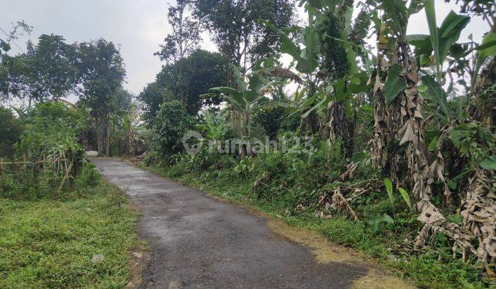 Tanah Jatisari Kutawaringin Terusan Cipatik Soreang  1