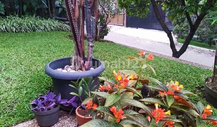 Disewakan Rumah di Setraduta Cemara 2