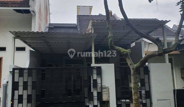 Araya Malang
