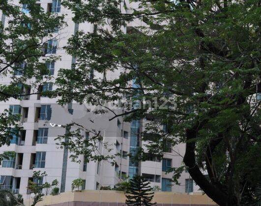 
Apartemen Besar, Harga Bagus, Bisa Pilih Dari Stock 49 Unit 5