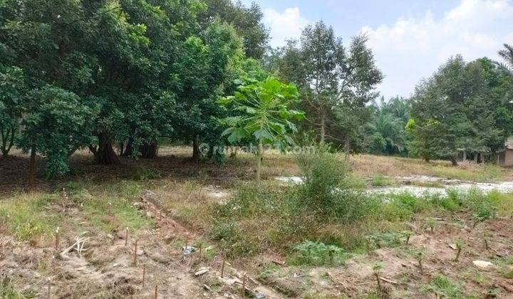 Dijual Tanah kebun buah 10.0000 m² 2