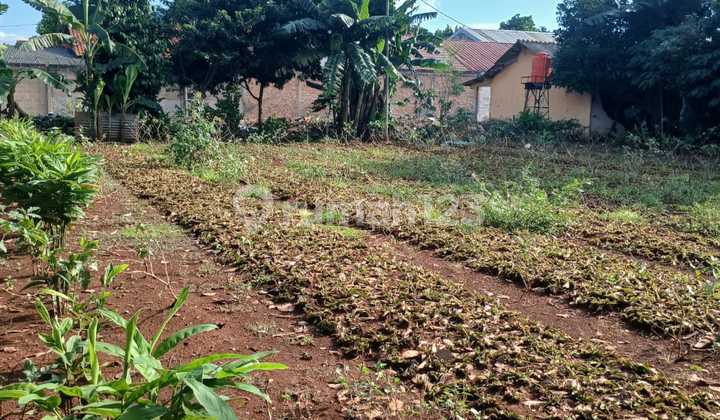 Disewakan Lahan Kosong Dengan Harga Sangat Murah di Padurenan, Mustika Jaya. Bekasi 1