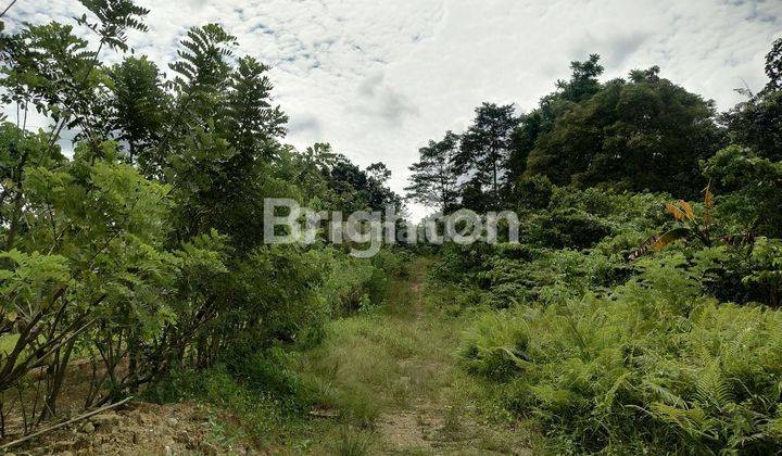 Lahan Tanah Untuk Pembangunan Perumahan, Gudang, Bengkel, Dan Tempat Wisata Di Jalan Poros Samarinda Bontang 1