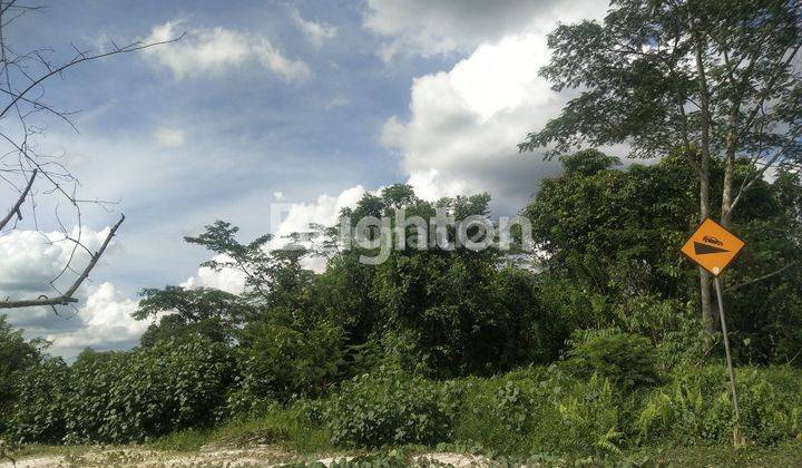 Lahan Tanah Cocok Usaha Perkebunan, Bangun Perumahan, Atau Pergudangan Di Muara Badak 1