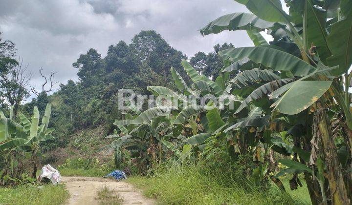 LAHAN TANAH POSISI HOEK DAERAH PALARAN KOTA SAMARINDA 1