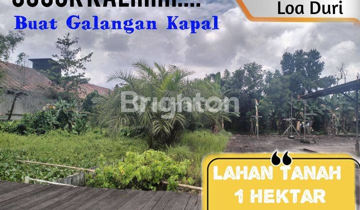 LAHAN TANAH PINGGIR SUNGAI DI SAMARINDA 1