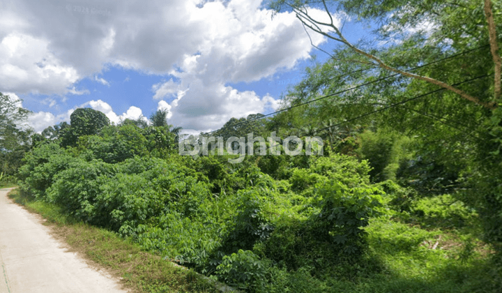 LAHAN TANAH 3 HEKTAR DI DARAT UNTUK WISATA DI SAMARINDA 1