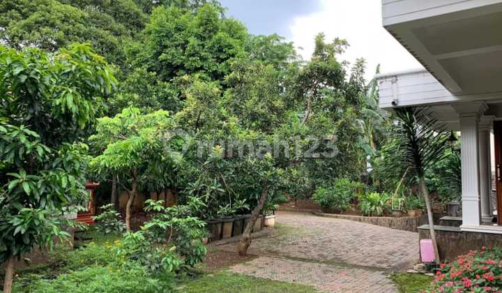 Rumah Dengan Backyard Luash Di Pancoran Kalibata 2