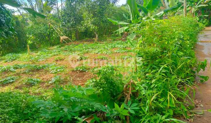 Tanah Murah Duren Baru Permai, Lokasi Dekat Majelis Taklim Zm Albusyro, 4