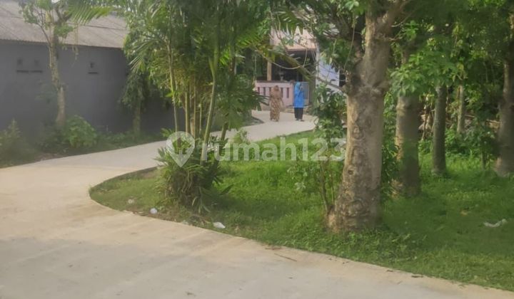 Tanah Termurah Bogor, Area Lapangan Bola Batu Tapak, Profit Untung 20 25 Per Tahun 3