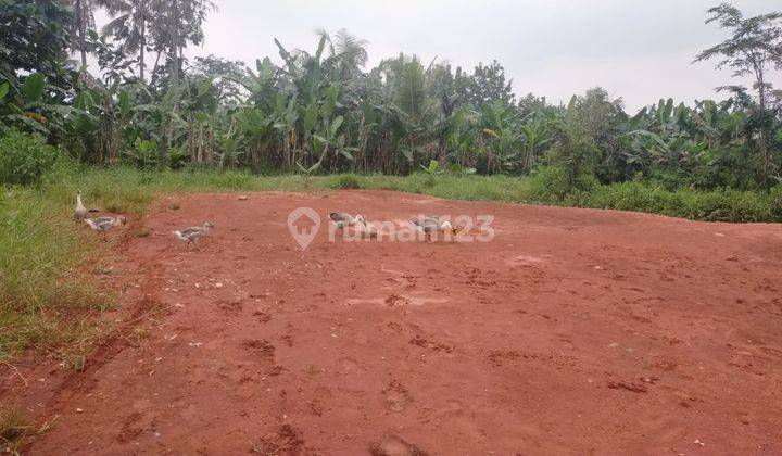Jual Tanah Murah Depok, Dekat Cagar Alam Depok  3
