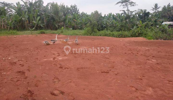 Jual Tanah Murah Depok, Dekat Cagar Alam Depok  4