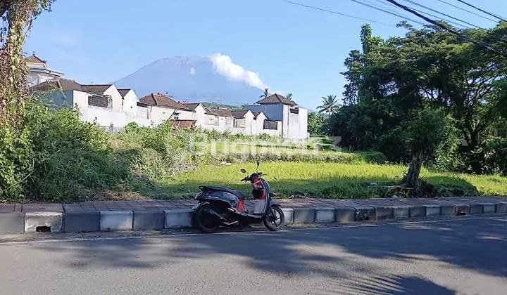 Tanah Kavling mainroad area Karangasem Kota 1