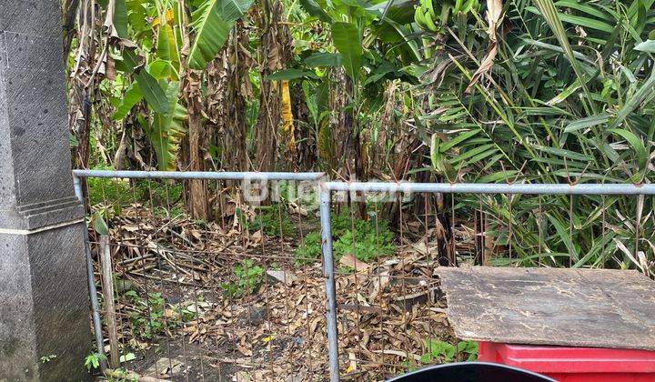 Yellow Zone Land in Pegending Badung Bali Area 2