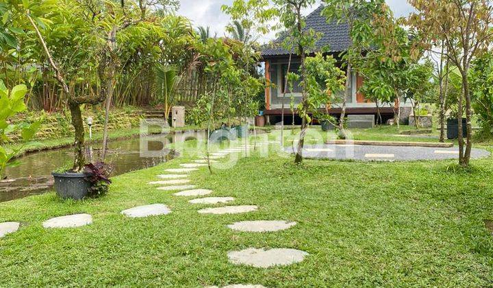 3 private villa ensuite in Tabanan view mountain 2