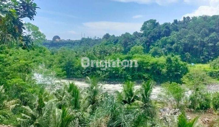 Land View of river valley in Sidemen area, Karangasem 2