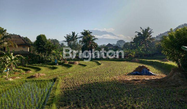 Tanah area sidemen karangasem view gunung agung 1