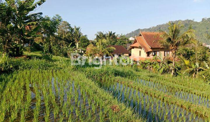 Land area sidemen karangasem view mount agung 2