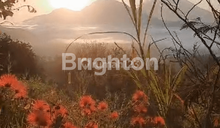 Tanah Perkebunan View Danau Dan Gunung Batur Area Kintamani Batur 2