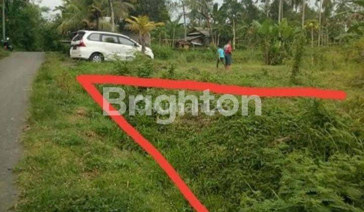 Tanah luasan kecil area mendoyo jembrana  1