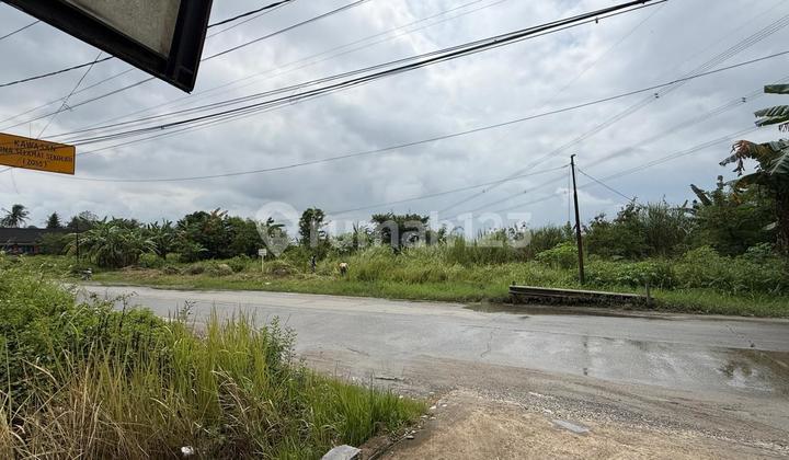 Dijual Tanah Mainroad Area Maja Banten Tanggerang Dijual Tanah Mainroad Area Maja Banten Tanggerang