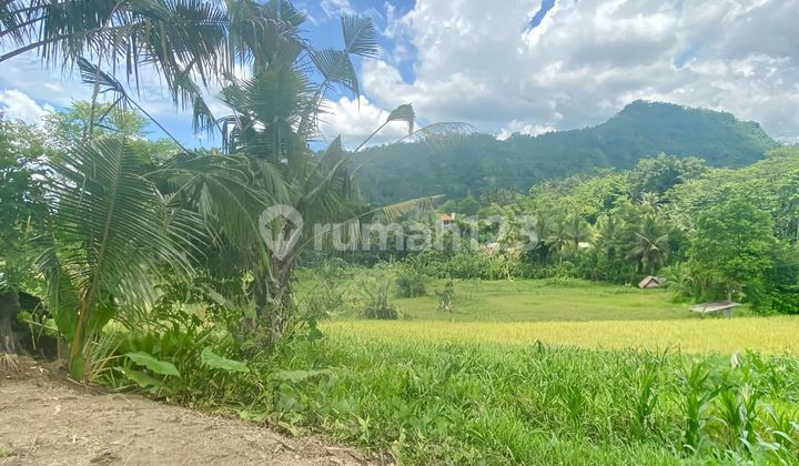 For Sale Small Plot Vacant Land At Central Tebola Mount Agung View For Sale Small Plot Vacant Land At Central Tebola Mount Agung View