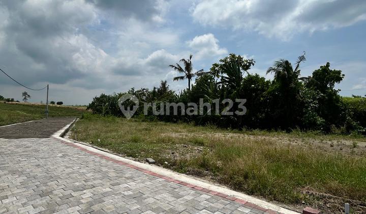 Tanah Premium Di Kawasan Kedungu Cocok Untuk Villa Tanah Premium Di Kawasan Kedungu Cocok Untuk Villa