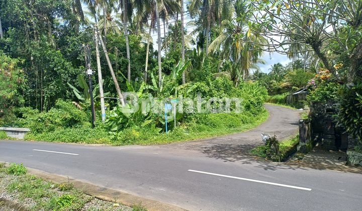 Tanah area tabanan cocok untuk investasi Tanah area tabanan cocok untuk investasi