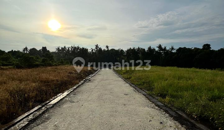 Best-Selling Land Plots Near Kedungu Beach Tabanan