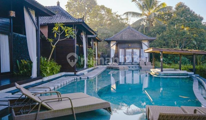 12 Unit Villa Rice Fiel View Tegalalang Ubud Area