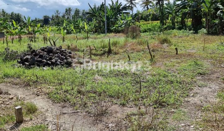 Tanah Strategis Saba Area dekat by Pass Ib Mantra